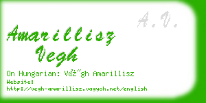 amarillisz vegh business card